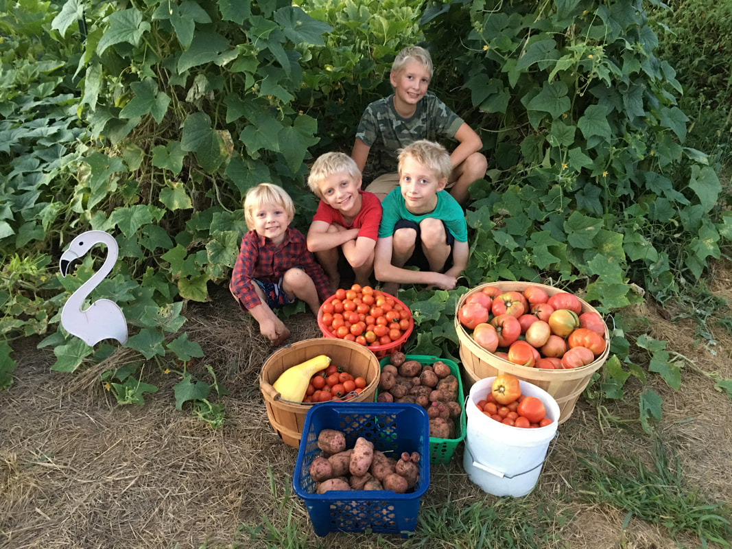 The boys with our garden produce