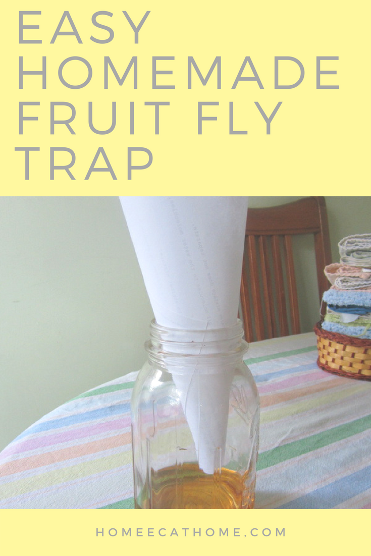 Get Rid Of Fruit Flies! {DIY Fruit Fly Trap} - My Blessed Life™