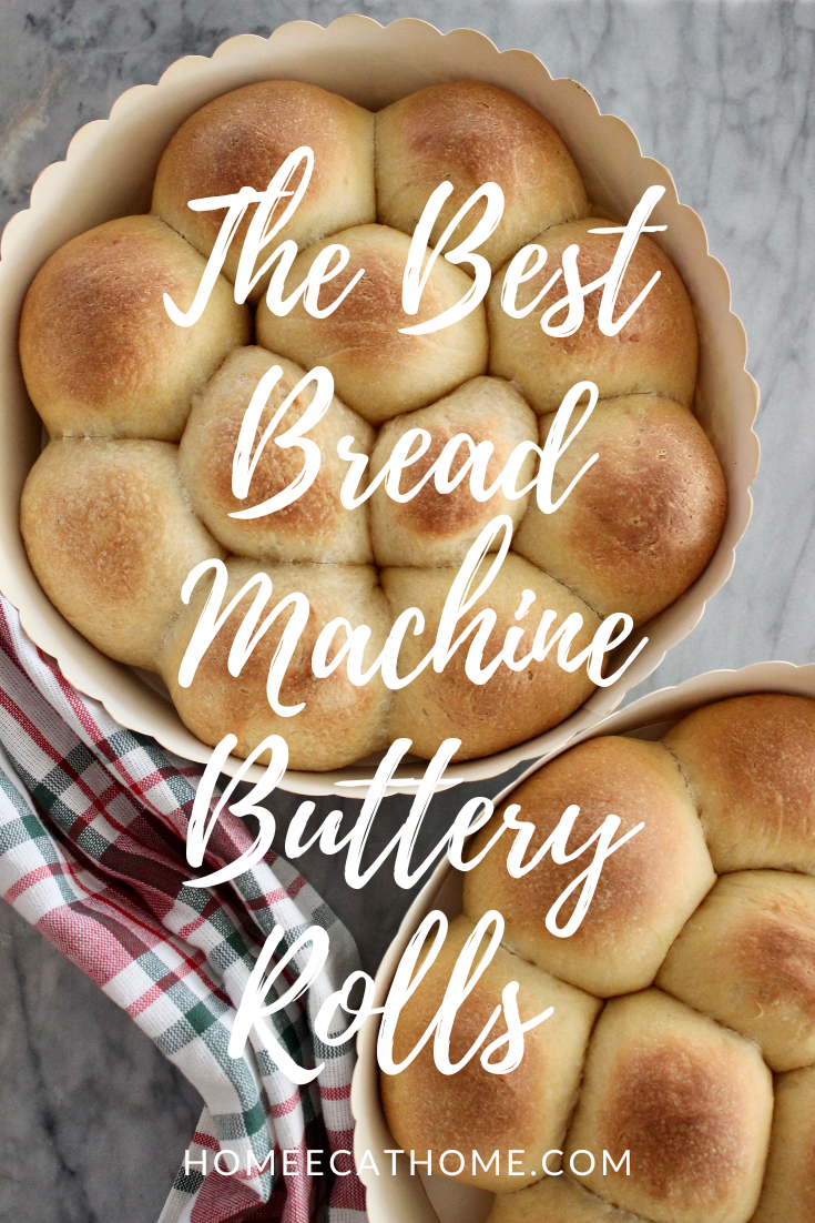 the best bread machine buttery rolls
