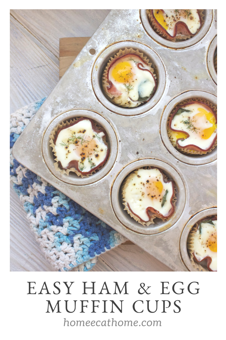 Try these easy and delicious ham & egg muffin cups for a quick healthy breakfast or the perfect brunch treat.