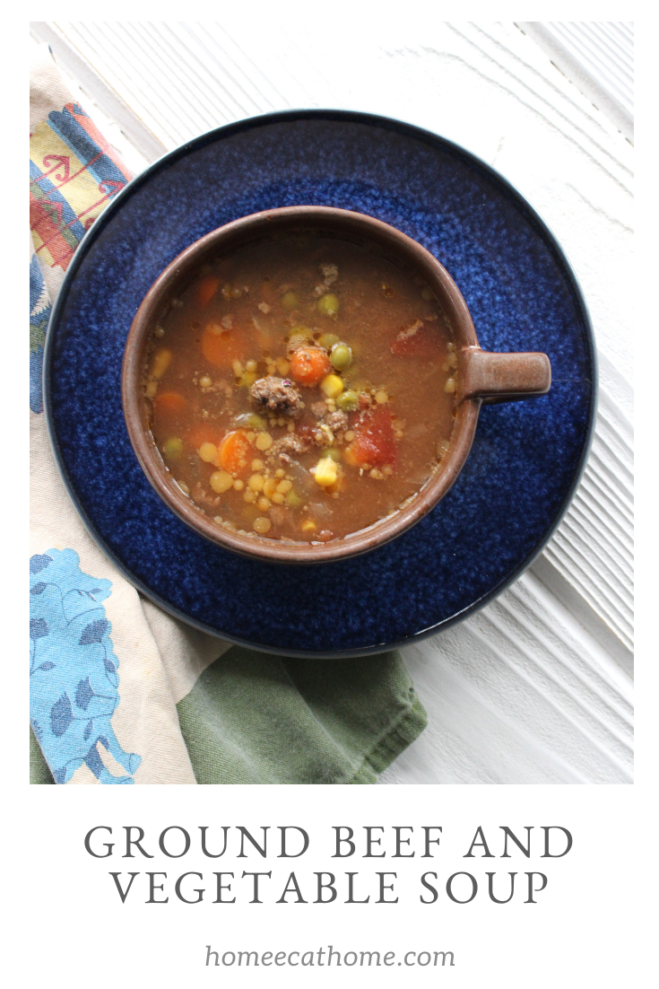 https://www.homeecathome.com/the-home-economist/beef-and-vegetable-soup-with-ground-beef