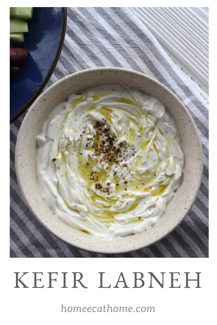 Delicious middle eastern kefir labneh 