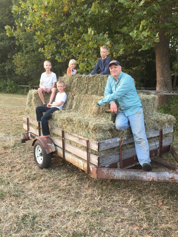 Fun on the Farm:  Bringing in the Hay