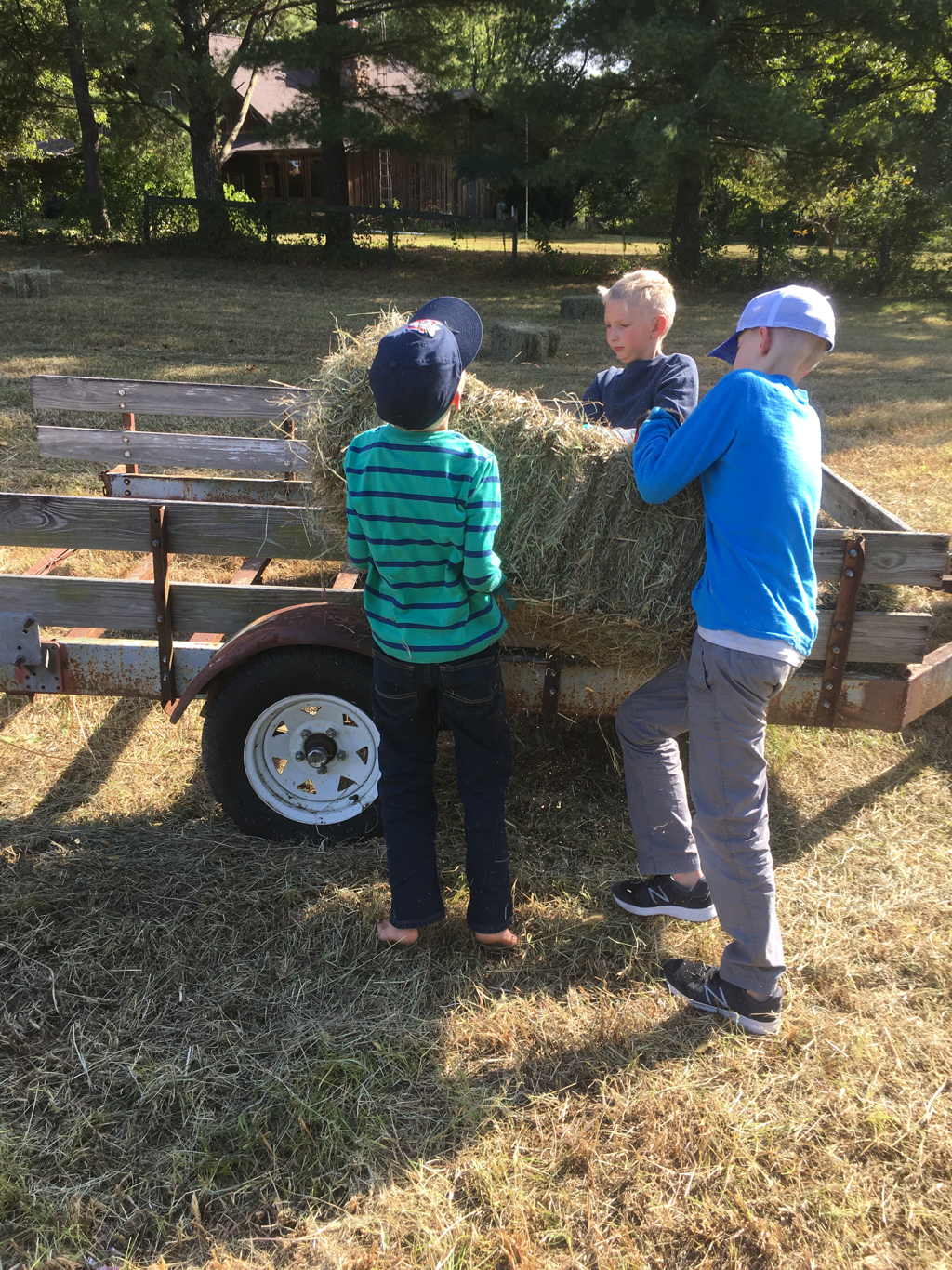 The boys working together to load hay in the wagon.