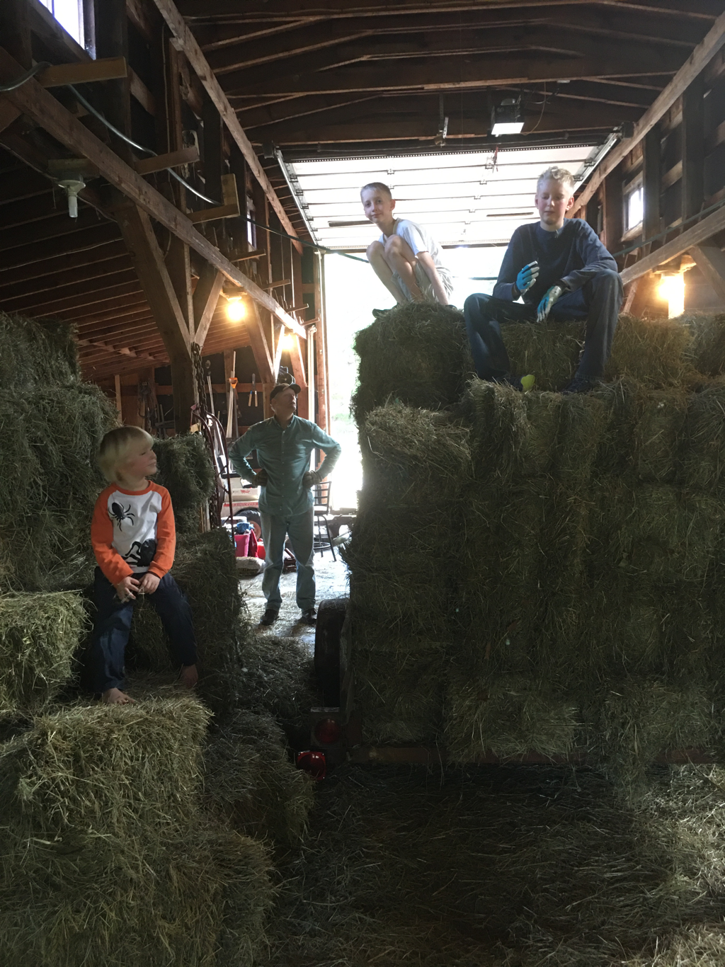Barn and wagon full of hay.